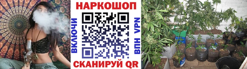 Купить наркотики цена Новочеркасск Гашиш Кокаин Меф АМФ Канабис