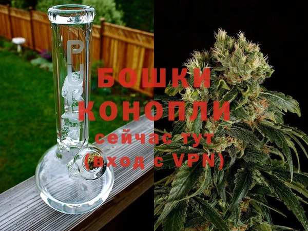 СК Кодинск