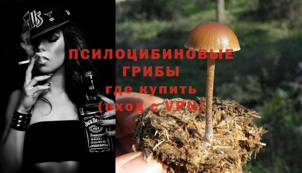 СК Кодинск