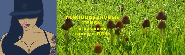 СК Кодинск