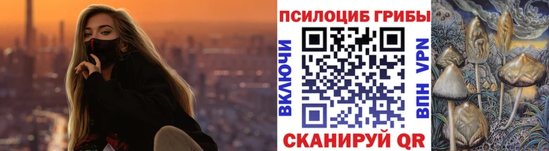 цена наркотик  Новочеркасск  Галлюциногенные грибы ЛСД 