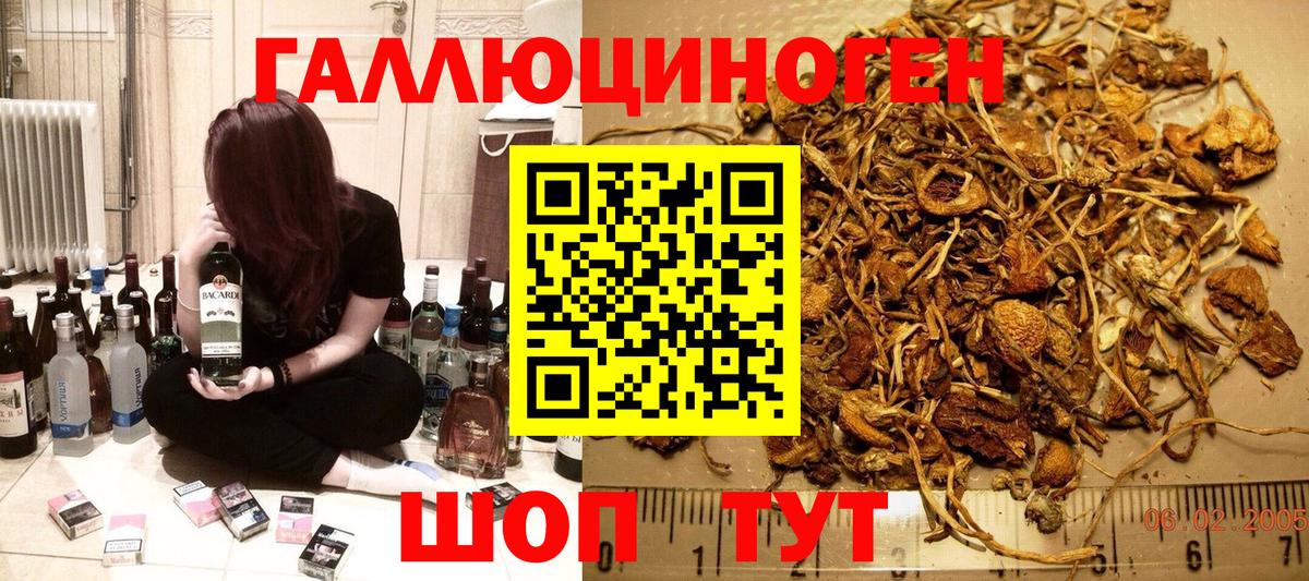 Галлюциногенные грибы ЛСД  Вход с VPN  Новочеркасск  Псилоцибиновые грибы MAGIC MUSHROOMS 