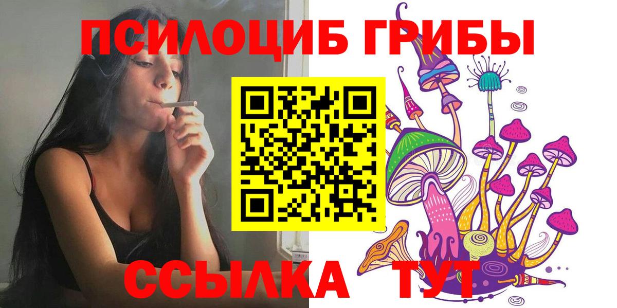 Псилоцибиновые грибы Cubensis Новочеркасск