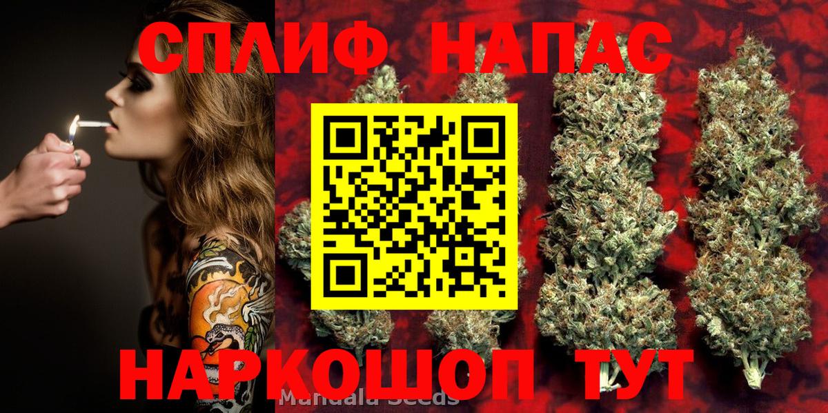 Бошки марихуана марихуана Новочеркасск